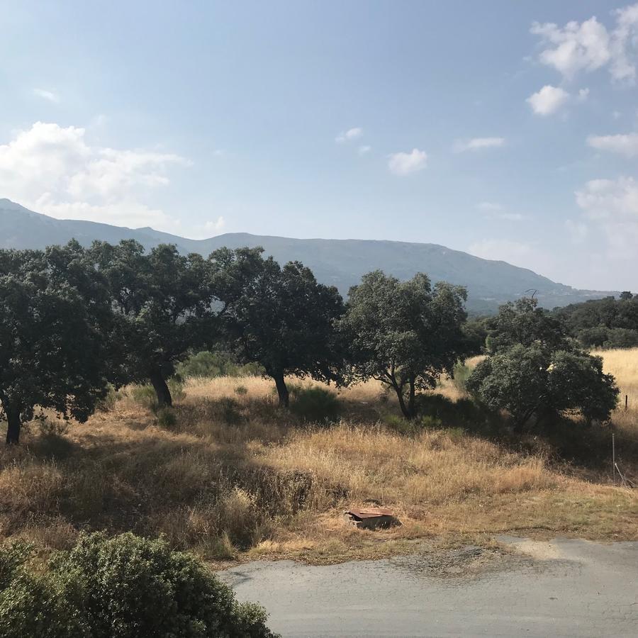 Hotel Restaurante Jarilla Εξωτερικό φωτογραφία